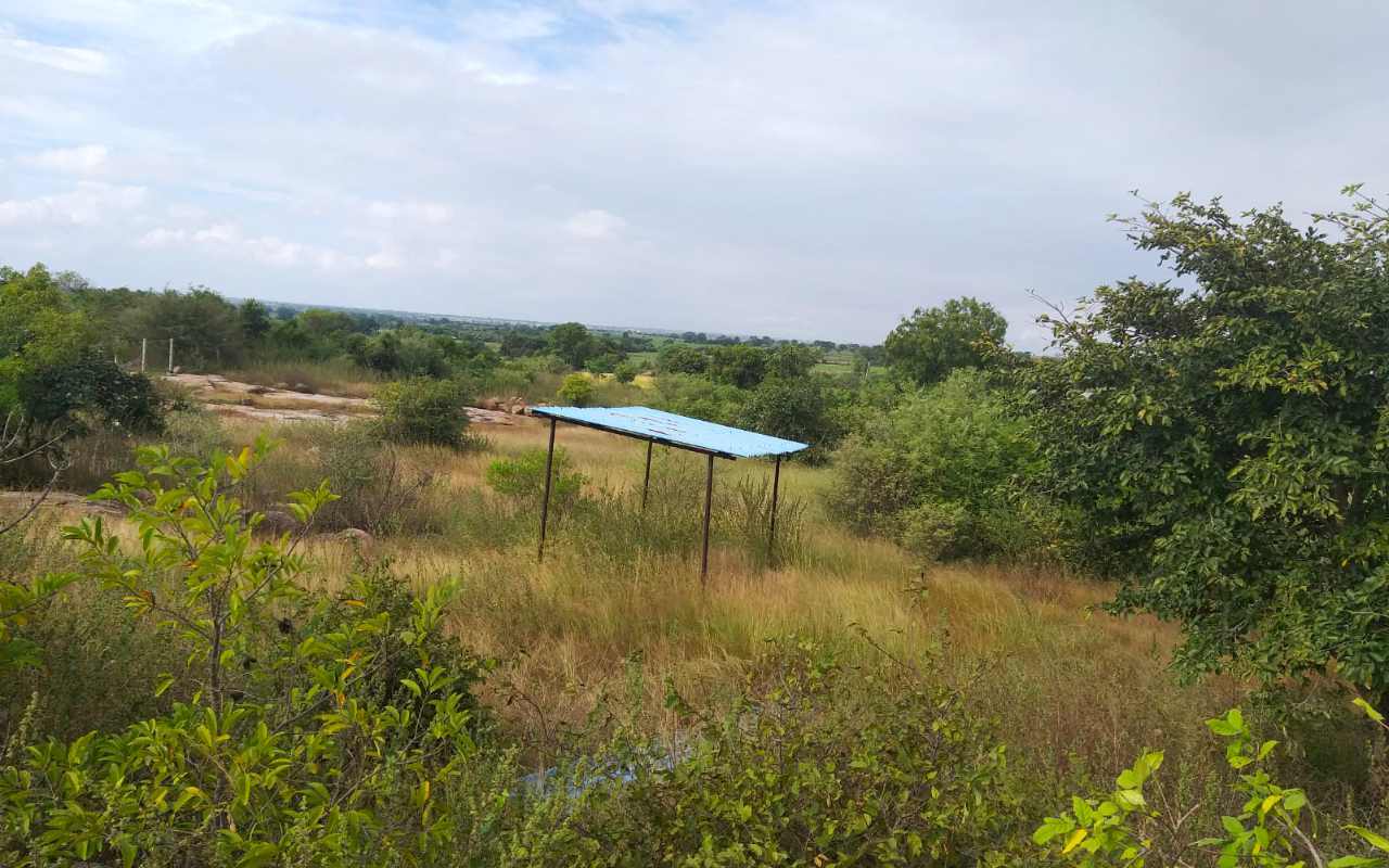 sathyaunani_herbal-garden_img-03