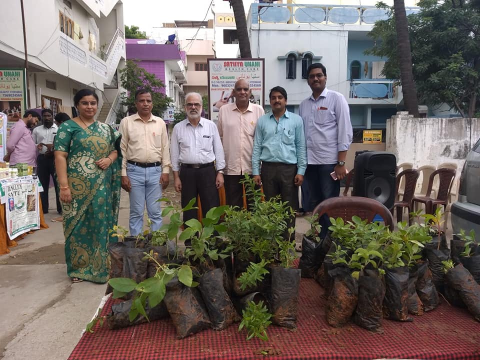 free plantation.jpg (1)