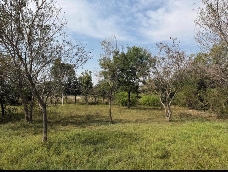 WhatsApp Image 2026-04-02 at 8.47.40 PM