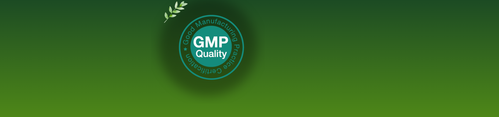 gmp (1)